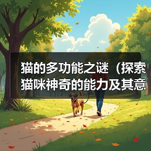 猫咪神奇功能全攻略