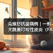 克维舒抗菌病例 | 一例犬跳蚤叮咬性皮炎(FAD)的病例分析(图3) 犬跳蚤叮咬性皮炎诊疗全攻略(图3)