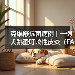 克维舒抗菌病例 | 一例犬跳蚤叮咬性皮炎(FAD)的病例分析(图2) 犬跳蚤叮咬性皮炎诊疗全攻略(图2)