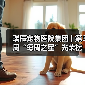 瑞辰宠物医院集团 | 第3周“每周之星”光荣榜(图3) 瑞辰每周之星光荣榜:优秀员工事迹全攻略(图3)