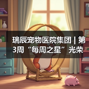 瑞辰宠物医院集团 | 第3周“每周之星”光荣榜(图4) 瑞辰每周之星光荣榜:优秀员工事迹全攻略(图4)