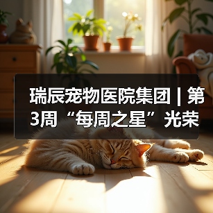 瑞辰宠物医院集团 | 第3周“每周之星”光荣榜(图2) 瑞辰每周之星光荣榜:优秀员工事迹全攻略(图2)