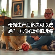 母狗生产后多久洗澡全攻略