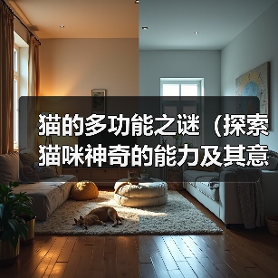 猫的多功能之谜(探索猫咪神奇的能力及其意义)(图2) 猫咪神奇功能全攻略(图2)