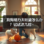 狗狗精力太旺盛怎么办?试试这几招~(图1) 狗狗精力太旺盛怎么办全攻略(图1)