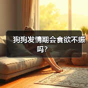狗狗发情期会食欲不振吗?(图3) 狗狗发情期食欲不振怎么办全攻略(图3)