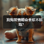 狗狗发情期会食欲不振吗?(图2) 狗狗发情期食欲不振怎么办全攻略(图2)