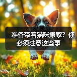 准备带着猫咪搬家?你必须注意这些事(图1) 猫咪搬家必备攻略|抗应激反应实用指南(图1)