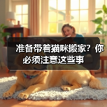 准备带着猫咪搬家?你必须注意这些事(图3) 猫咪搬家必备攻略|抗应激反应实用指南(图3)