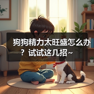 狗狗精力太旺盛怎么办?试试这几招~(图4) 狗狗精力太旺盛怎么办全攻略(图4)