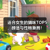 女生养猫推荐TOP5：颜值性格双全品种全攻略
