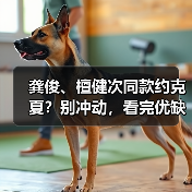 龚俊、檀健次同款约克夏?别冲动,看完优缺点再决定!(图4) 龚俊檀健次同款约克夏优缺点全攻略(图4)