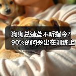 狗狗总装聋不听指令?90%的问题出在训练上(图2) 狗狗装聋不听指令全攻略(图2)