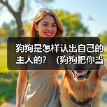 狗狗是怎样认出自己的主人的?(狗狗把你当主人的明显表现和迹象)(图2) 狗狗认出主人的明显表现和迹象全攻略(图2)