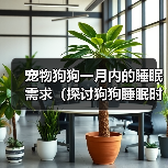 宠物狗狗一月内的睡眠需求(探讨狗狗睡眠时间与健康的关系)(图2) 宠物狗狗睡眠需求全攻略(图2)