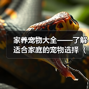 家养宠物大全——了解适合家庭的宠物选择(选择适合家庭的宠物,创造温馨的宠物生活)(图3) 家养宠物大全|选择适合家庭的宠物全攻略(图3)
