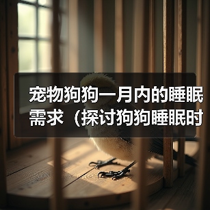 宠物狗狗一月内的睡眠需求(探讨狗狗睡眠时间与健康的关系)(图3) 宠物狗狗睡眠需求全攻略(图3)