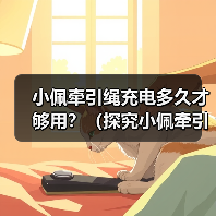 小佩牵引绳充电指南全攻略(图4)