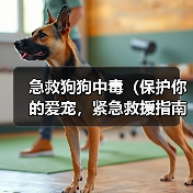 急救狗狗中毒(保护你的爱宠,紧急救援指南)(图4) 急救狗狗中毒全攻略(图4)