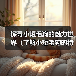 小短毛狗魅力世界全攻略(图4)