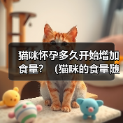 猫咪怀孕多久开始增加食量?(猫咪的食量随孕期变化,关键是确保营养均衡)(图3) 猫咪怀孕多久开始增加食量全攻略(图3)