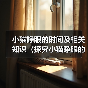小猫睁眼周期原因全攻略