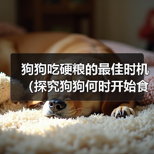 狗狗吃硬粮的最佳时机全攻略(图2)
