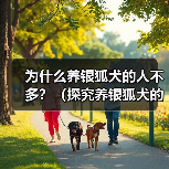 银狐犬饲养原因及不受欢迎因素全攻略(图2)