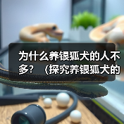 银狐犬饲养原因及不受欢迎因素全攻略(图3)