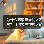 银狐犬饲养原因及不受欢迎因素全攻略(图4)