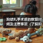 狗结扎手术后的恢复时间及注意事项(了解狗结扎手术的恢复过程,让宠物更健康快乐)(图3) 狗结扎术后恢复注意事项全攻略(图3)