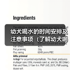 幼犬喝水的时间安排及注意事项(了解幼犬喝水的频率和注意细节,助你照顾好你的小狗)(图4) 幼犬喝水时间安排及注意事项全攻略(图4)