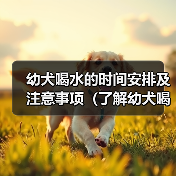 幼犬喝水的时间安排及注意事项(了解幼犬喝水的频率和注意细节,助你照顾好你的小狗)(图2) 幼犬喝水时间安排及注意事项全攻略(图2)