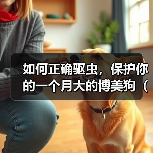 如何正确驱虫,保护你的一个月大的博美狗(针对一个月大的博美狗,合理安排驱虫计划,呵护它的健康成长)(图2) 一个月大的博美狗驱虫全攻略(图2)