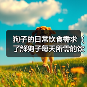 狗子的日常饮食需求(了解狗子每天所需的饮食量,让狗狗健康快乐成长)(图3) 狗子日常饮食需求全攻略(图3)