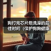 狗打完芯片后洗澡的最佳时间(保护狗狗健康,科学护理)(图2) 狗打完芯片后洗澡最佳时间全攻略(图2)