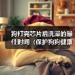 狗打完芯片后洗澡最佳时间全攻略