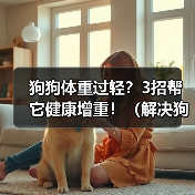 狗狗体重过轻3招健康增重全攻略