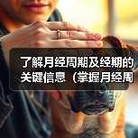 了解月经周期及经期的关键信息(掌握月经周期和经期长度,了解女性身体健康的重要性)(图2) 月经周期经期关键信息全攻略(图2)