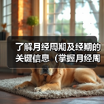 了解月经周期及经期的关键信息(掌握月经周期和经期长度,了解女性身体健康的重要性)(图4) 月经周期经期关键信息全攻略(图4)