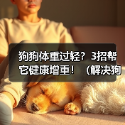 狗狗体重过轻?3招帮它健康增重!(解决狗老师体重问题的有效方法,让你的爱宠更加健康幸福。)(图2) 狗狗体重过轻3招健康增重全攻略(图2)