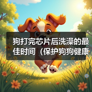 狗打完芯片后洗澡的最佳时间(保护狗狗健康,科学护理)(图3) 狗打完芯片后洗澡最佳时间全攻略(图3)