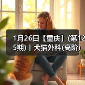 犬猫外科高阶实操班技术核心技巧(图2)
