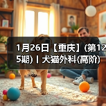 犬猫外科高阶实操班技术核心技巧(图4)