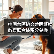 兽医积分兑换活动全攻略