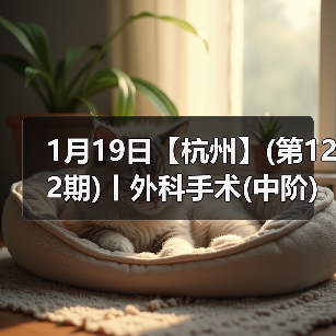 外科手术中阶实操班全攻略(图3)