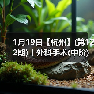 外科手术中阶实操班全攻略(图4)