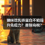 猫咪吃乳铁蛋白不能提升免疫力?是智商税?(图2) 猫咪吃乳铁蛋白不能提升免疫力?是智商税?全攻略(图2)
