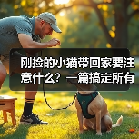 刚捡的小猫带回家要注意什么?一篇搞定所有难题(图4) 刚捡小猫带回家注意事项全攻略(图4)