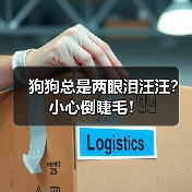 狗狗两眼泪汪汪？小心倒睫毛全攻略